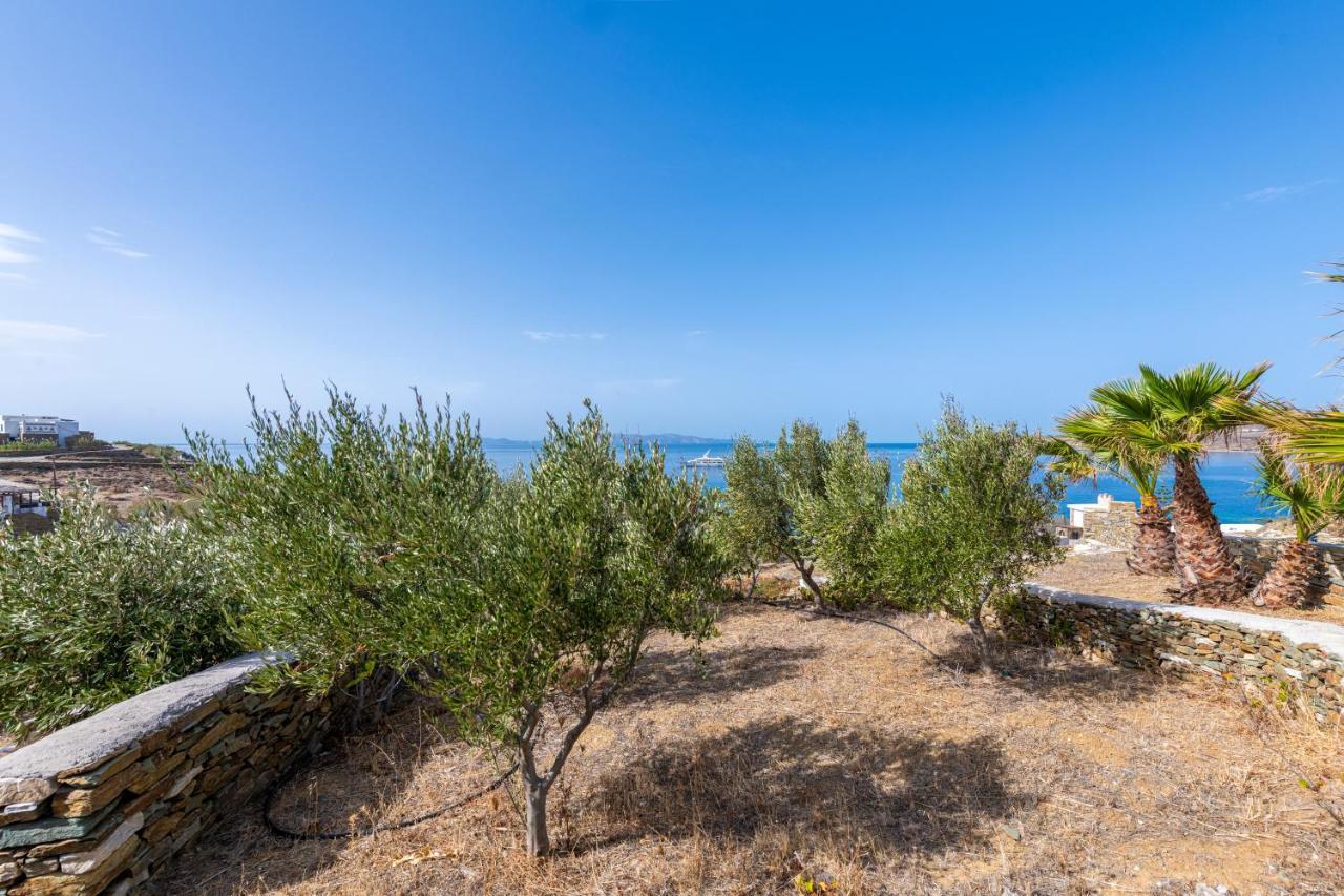 Aegean Dream Apartments Тинос Экстерьер фото