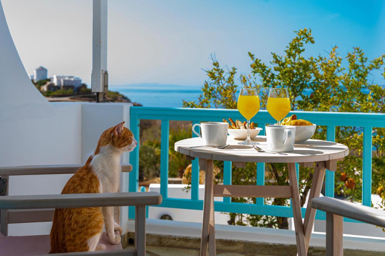 Aegean Dream Apartments Тинос Экстерьер фото